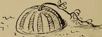 An illustration from The sky movies (1922)