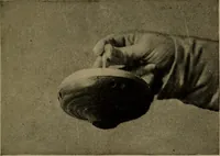 An illustration from The sky movies (1922)