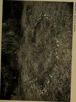 Picture 46 of 140 from The sky movies (1922), leaf 82