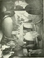 An illustration from The Slade; a collection of drawings and some pictures done by past and present students of the London Slade School of Art, MDCCCXCIII-MDCCCVII (1907)