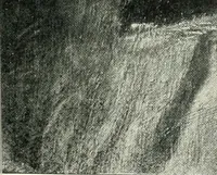 An illustration from The Slade; a collection of drawings and some pictures done by past and present students of the London Slade School of Art, MDCCCXCIII-MDCCCVII (1907)