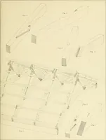 An illustration from Sloan's constructive architecture : a guide to the practical builder and mechanic. In which is contained a series of designs for domes, roofs and spires, with a number of plates showing the interior construction and finish of bays, window shutters, sliding doors, etc., designed expressly for the joiners use; choice examples of the five orders of architecture, selected fromthe most celebrated specimens of antiquity, with the figured dimensions of their height, projection and profile, and their division into parts,; to which is added a number of useful geometrical problems, examples of groins, centering for arches, diagrams of stair lines, with architraves, door mouldings, etc., the whole being accompanied by explanatory text and general essays, to which is appended a copious glossay (1859)