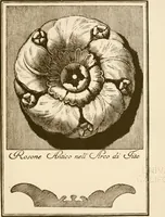 An illustration from A small collection of ancient rosettes as found on Roman monuments (1913)