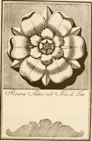 Picture 9 of 34 from A small collection of ancient rosettes as found on Roman monuments (1913), leaf 20