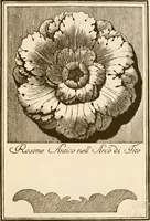 Picture 10 of 34 from A small collection of ancient rosettes as found on Roman monuments (1913), leaf 22