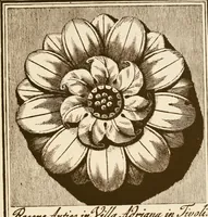 An illustration from A small collection of ancient rosettes as found on Roman monuments (1913)