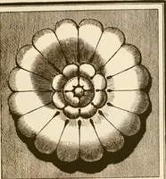 An illustration from A small collection of ancient rosettes as found on Roman monuments (1913)