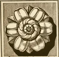 An illustration from A small collection of ancient rosettes as found on Roman monuments (1913)