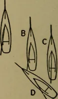 Picture 50 of 86 from The small yacht, its management and handling for racing and sailing, with chapters on construction (1909), leaf 173