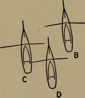 Picture 61 of 86 from The small yacht, its management and handling for racing and sailing, with chapters on construction (1909), leaf 180