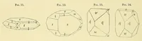 An illustration from Smithsonian contributions to knowledge (1848)