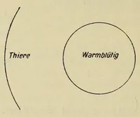 An illustration from Sämtliche Werke; (1911)