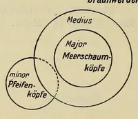 Picture 10 of 16 from Sämtliche Werke; (1911), leaf 344