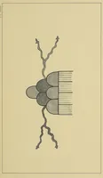 Picture 4 of 7 from The snake-dance of the Moquis of Arizona : being a narrative of a journey from Santa Fé, New Mexico, to the villages of the Moqui Indians of Arizona, with a description of the manners and customs of this peculiar people, and especially of the revolting religious rite, the snake-dance ; to which is added a brief dissertation upon serpent-worship in general, with an account of the tablet dance of the pueblo of Santo Domingo, New Mexico, etc. (1884), leaf 469