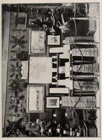 An illustration from Sénégal-Soudan : agriculture, industrie, commerce (1900)