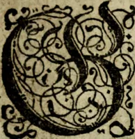 An illustration from Snorre Sturlessøns Norske kongers chronica (1633)