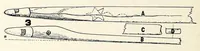 An illustration from Snow-snake as played by the Seneca-Iroquois (1909)
