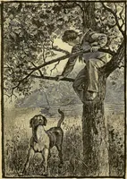 An illustration from Snug Harbor : or, The Champlain mechanics (1884)