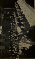 An illustration from Social activities for men and boys (1910)