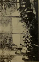 An illustration from Social activities for men and boys (1910)