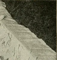 An illustration from Social activities for men and boys (1913)