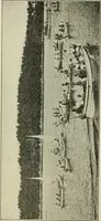 An illustration from Social activities for men and boys (1913)