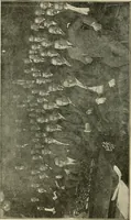 An illustration from Social activities for men and boys (1913)