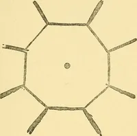 An illustration from The Society for Psychical Research : its rise & progress & a sketch of its work (1903)