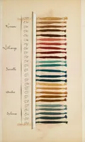 An illustration from Soie naturelle 1887 Oct.-1888 Apr (1887)