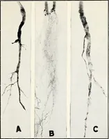 An illustration from Soil disinfection with hot water to control the root-knot nematode and parasitic soil fungi (1920)