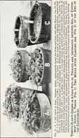 Picture 6 of 12 from Soil disinfection with hot water to control the root-knot nematode and parasitic soil fungi (1920), leaf 11