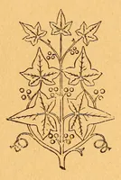 Picture 12 of 16 from Soldats et missionnaires au Congo de 1891 à 1894 (1896), leaf 195
