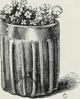 An illustration from Some account of domestic architecture in England, from Richard II to Henry VIII (1859)