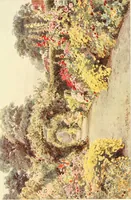 Picture 48 of 54 from Some English gardens; (1904), leaf 316