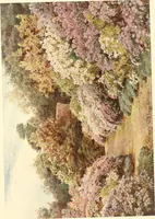 Picture 49 of 54 from Some English gardens; (1904), leaf 324