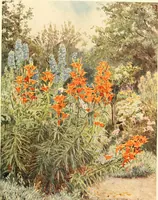 Picture 12 of 54 from Some English gardens; (1904), leaf 88