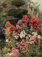 An illustration from Some English gardens; (1904)