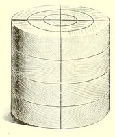 An illustration from Some evolutions in the kindergarten work (1903)