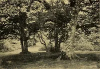 An illustration from Some famous country parishes (1911)