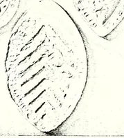 An illustration from Some feudal coats of arms and others, illustrated with 2,000 zinco etchings from the Bayear tapestry, Greek vases, seals, tiles, effigies, brasses and heralcic rolls. Some chart pedigrees (1902)