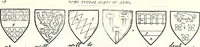 An illustration from Some feudal coats of arms and others, illustrated with 2,000 zinco etchings from the Bayear tapestry, Greek vases, seals, tiles, effigies, brasses and heralcic rolls. Some chart pedigrees (1902)