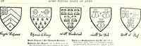 Picture 309 of 427 from Some feudal coats of arms and others, illustrated with 2,000 zinco etchings from the Bayear tapestry, Greek vases, seals, tiles, effigies, brasses and heralcic rolls. Some chart pedigrees (1902), leaf 422