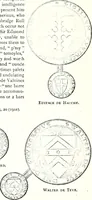 Picture 28 of 427 from Some feudal coats of arms and others, illustrated with 2,000 zinco etchings from the Bayear tapestry, Greek vases, seals, tiles, effigies, brasses and heralcic rolls. Some chart pedigrees (1902), leaf 44