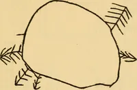 An illustration from Some fundamental verities in education (1911)