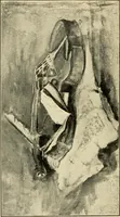 An illustration from Some fundamental verities in education (1911)