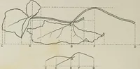 An illustration from Some hints on learning to draw (1893)
