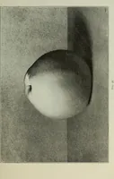 An illustration from Some hints on learning to draw (1893)