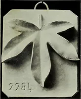 An illustration from Some hints on learning to draw (1893)
