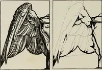 An illustration from Some hints on learning to draw (1893)