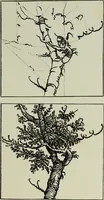 An illustration from Some hints on learning to draw (1893)